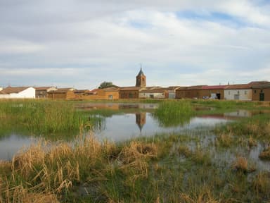 Vista de El Burgo Ranero