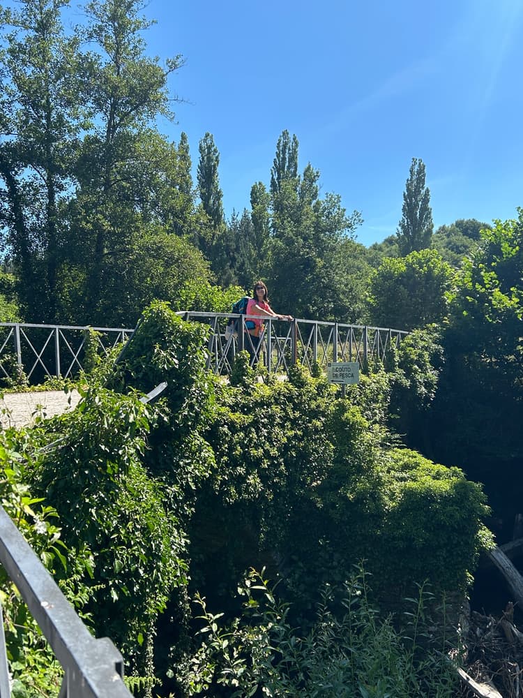 Pés de Cinderela