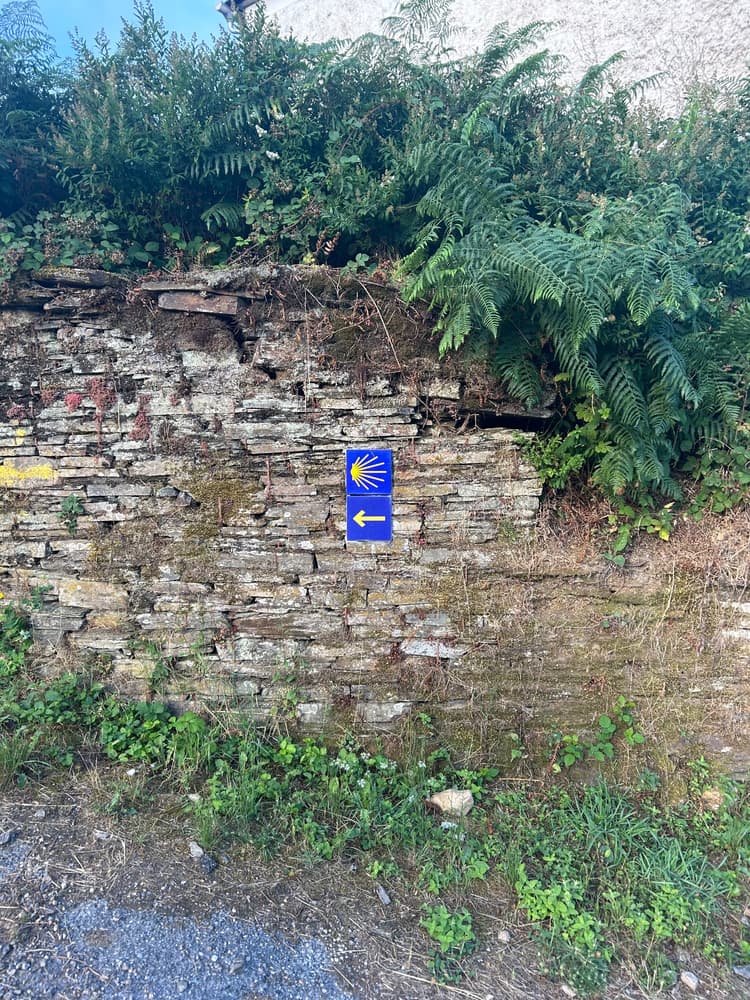 Pés de Cinderela