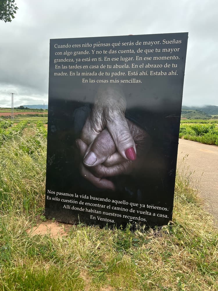 Velocidade Cruzeiro
