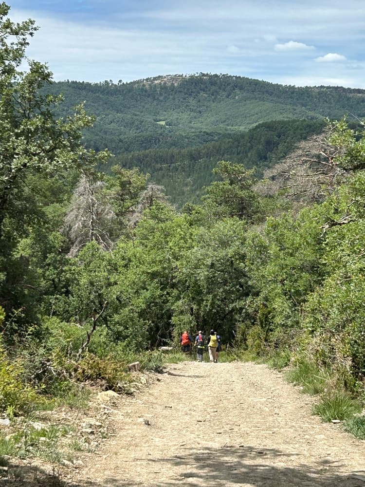 The Camino will provide