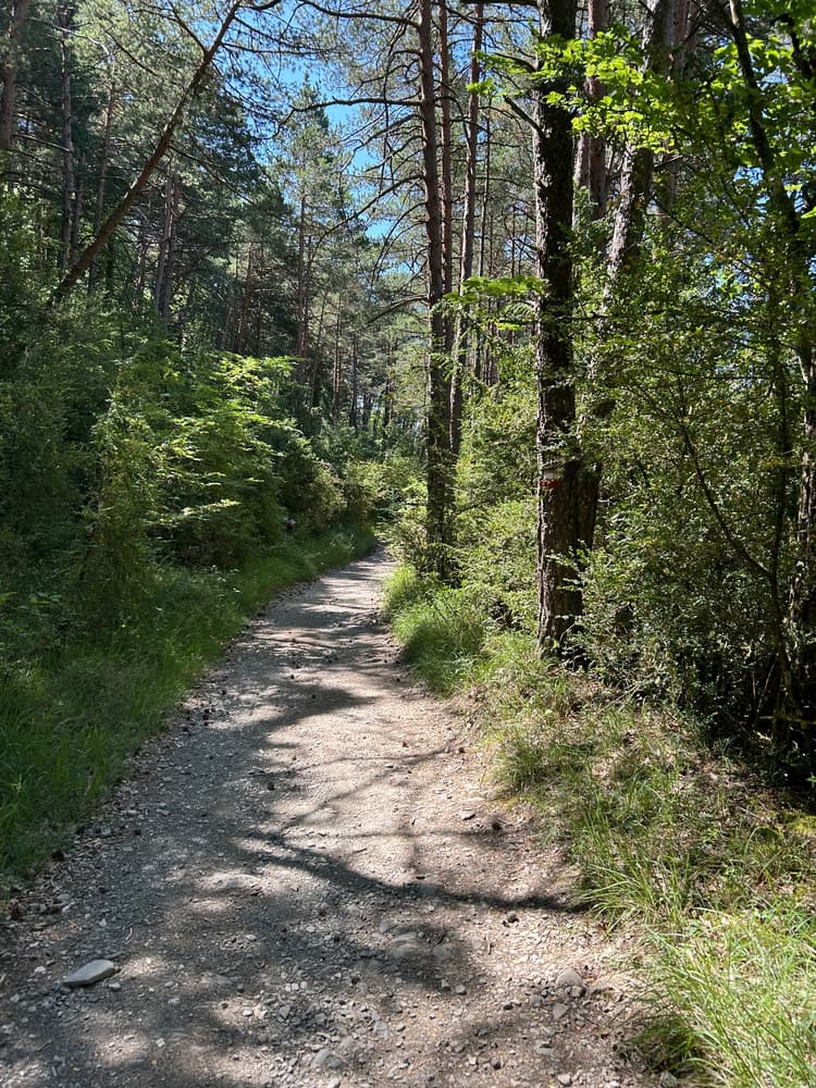 The Camino will provide